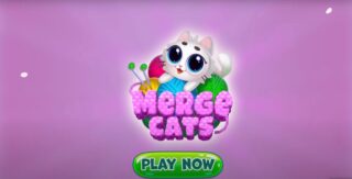 Main menu of the game Merge Cats with the play now button